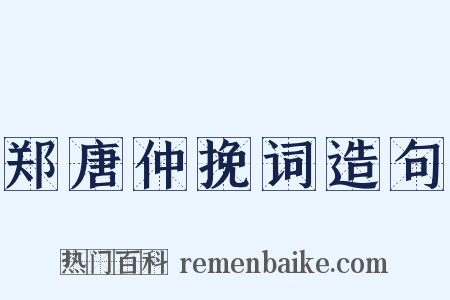 郑唐仲挽词造句是什么意思的图片